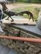 Art Deco Bronze Pheasant On Thick Marble Plaque