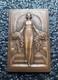 Art Deco Bronze Plaque Medal Woman With Flowers By Raoul Benard