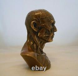 Curiosite Cabinet/bronze Bust Ecorche/medicine/office Object