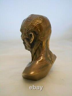 Curiosite Cabinet/bronze Bust Ecorche/medicine/office Object