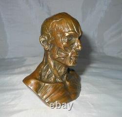 Curiosite Cabinet/bronze Bust Ecorche/medicine/office Object