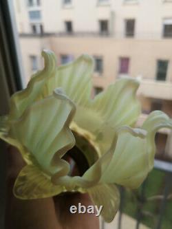 Pair Of Bronze Art Deco Lamp. Opalescent Tulip. Uranium, Vaseline Glass