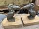 Pair Of Art Deco Bookends In Solid Bronze With Toucan Birds