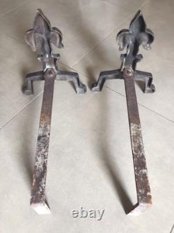 Pair of Fireplace Chenets with Fleur De Lys Decoration in Bronze and Iron, Art Deco
