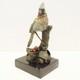 Statue Sculpture Bird Animal Figure Art Deco Style Art Nouveau Solid Bronze