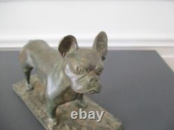 Bronze Animalier Chien Bouledogue Art Deco Signe Pierre Chenet