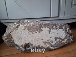 Rare sculpture art deco de Richard FATH Bronze Lionne blessée sur rocher marbre