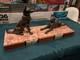 Sculpture Animalier Art D&eacute;co Berger Allemand Chien R&eacute;gule Style Bronze Socle